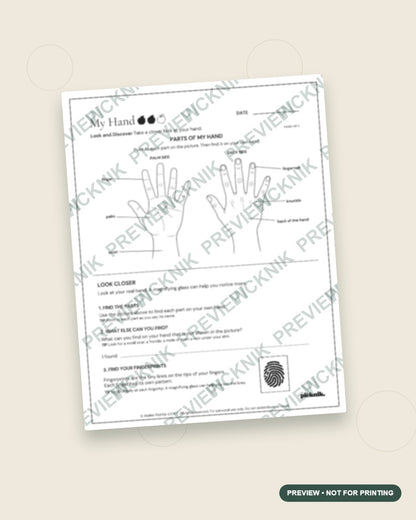 Sep 26 | My Hand Worksheet